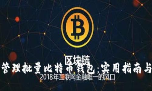 如何高效管理批量比特币钱包：实用指南与最佳实践