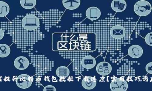 如何提升比特币钱包数据下载速度？实用技巧与建议