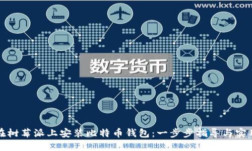 如何在树莓派上安装比特币钱包：一步步指导与实用技巧