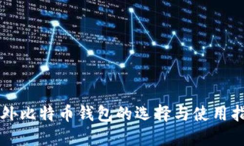 国外比特币钱包的选择与使用指南