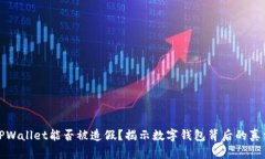TPWallet能否被造假？揭示数字钱包背后的真相
