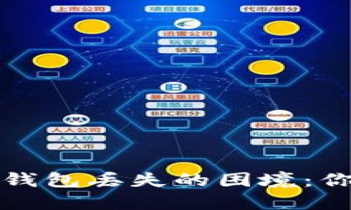 如何应对比特币钱包丢失的困境：你需要知道的一切