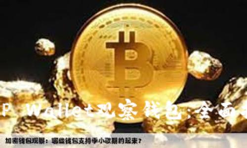 如何使用TP Wallet观察钱包：全面指南与技巧