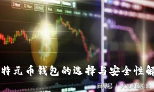 比特元币钱包的选择与安全性解析