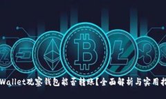 TPWallet观察钱包能否转账？全面解析与实用指南