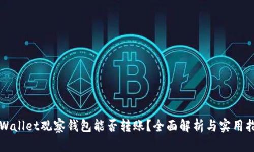 TPWallet观察钱包能否转账？全面解析与实用指南