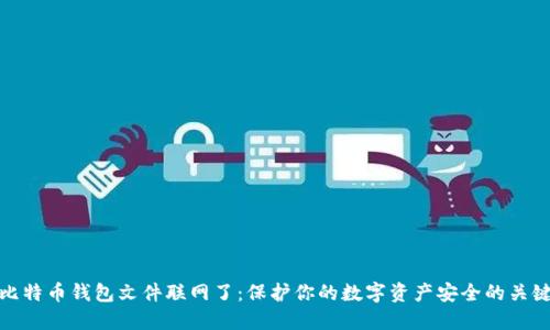 比特币钱包文件联网了：保护你的数字资产安全的关键