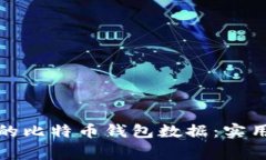 如何高效更新您的比特币钱包数据：实