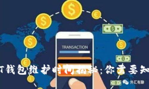 中币USDT钱包维护时间揭秘：你需要知道的一切