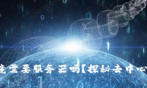 Web3钱包究竟需要服务器吗？探秘去中心化存储的未来