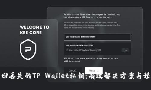 如何找回丢失的TP Wallet私钥：有效解决方案与预防措施
