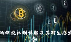 TPWallet的燃烧机制详解及其对生态发展