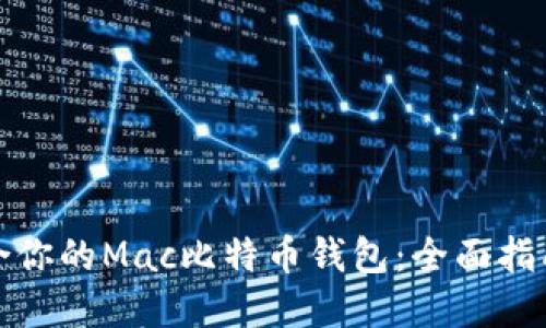 如何选择适合你的Mac比特币钱包：全面指南与选择技巧