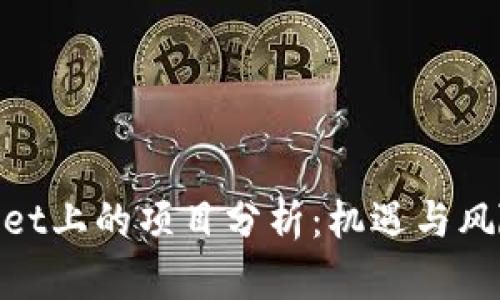 tpwallet上的项目分析：机遇与风险并存