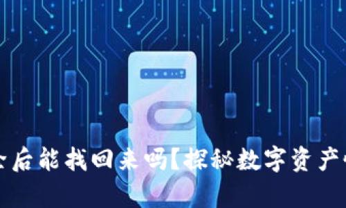 TPWallet清除后能找回来吗？探秘数字资产恢复的可能性