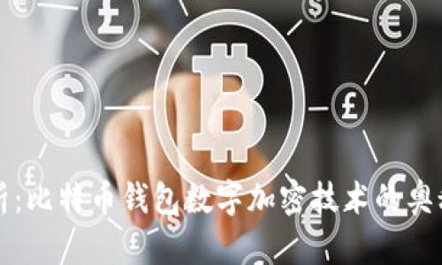 深度解析：比特币钱包数字加密技术的奥秘与实践