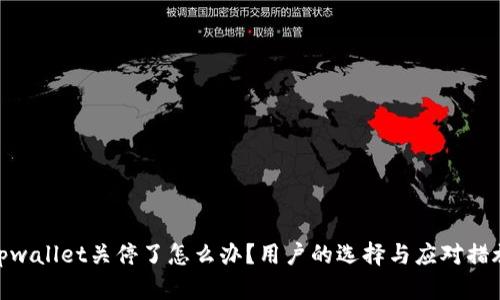 tpwallet关停了怎么办？用户的选择与应对措施