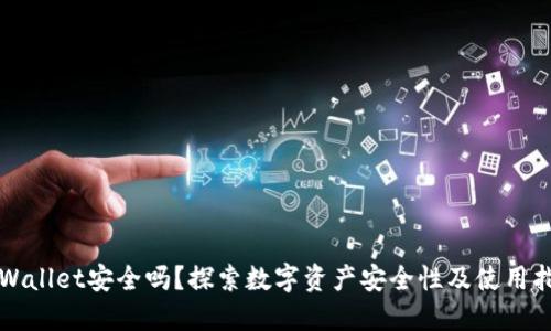 TPWallet安全吗？探索数字资产安全性及使用指南