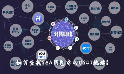 如何查找SEA钱包中的USDT地址？