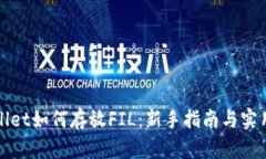 TPWallet如何存放FIL：新手指南与实用技