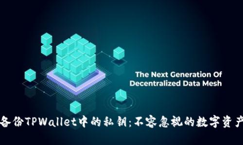 如何安全备份TPWallet中的私钥：不容忽视的数字资产保护方法