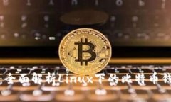 从基础到进阶：全面解析Linux下的比特