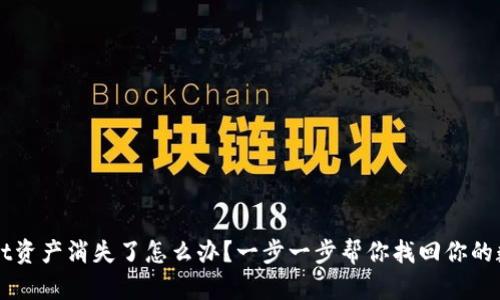 TPWallet资产消失了怎么办？一步一步帮你找回你的数字资产