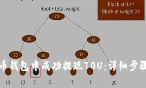 如何在TP火币钱包中成功提现70U：详细步骤与注意事项