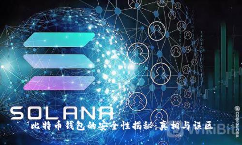比特币钱包的安全性揭秘：真相与误区