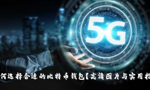 如何选择合适的比特币钱包？高清图片与实用指南