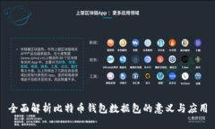 全面解析比特币钱包数据包的意义与应