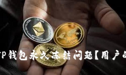 如何解决TP钱包永久冻结问题？用户的实用指南
