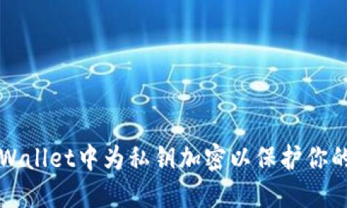 如何在TPWallet中为私钥加密以保护你的数字资产