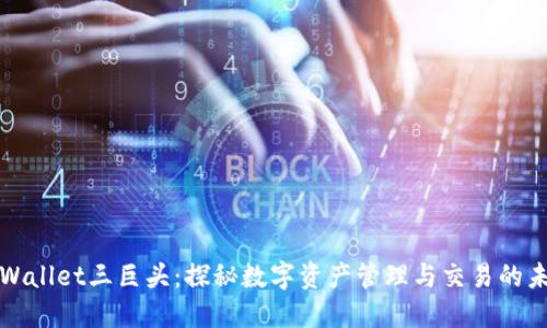 TPWallet三巨头：探秘数字资产管理与交易的未来
