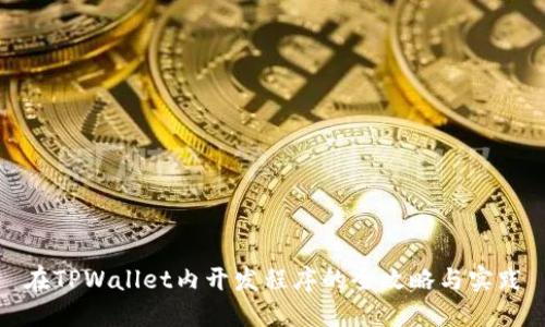 在TPWallet内开发程序的全攻略与实践