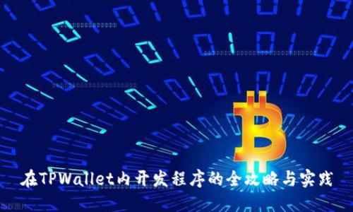 在TPWallet内开发程序的全攻略与实践