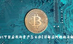 tpwallet下架后我的资产怎么办？详解应