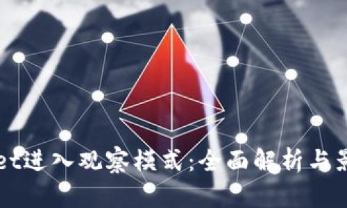 TPWallet进入观察模式：全面解析与影响分析