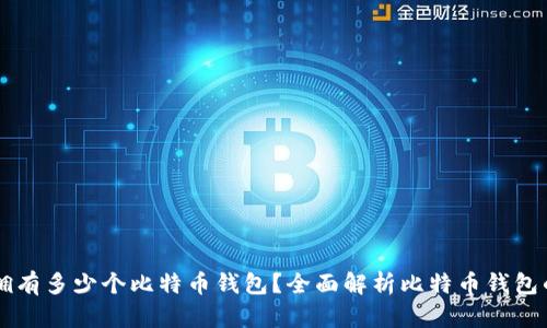 一个人可以拥有多少个比特币钱包？全面解析比特币钱包的种类与使用