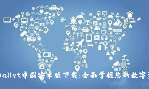 TPWallet中国安卓版下载：全面掌握您的数字资产