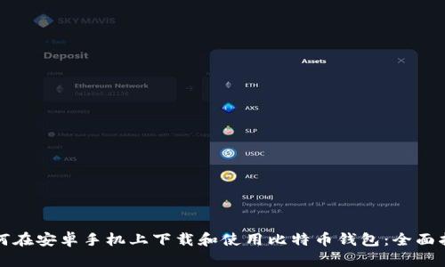 如何在安卓手机上下载和使用比特币钱包：全面指南