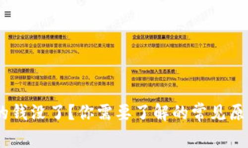 USDT钱包里的钱没了？你需要了解的常见原因与解决方案