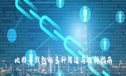 比特币钱包的多种用途与选择指南