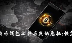 如何应对比特币钱包文件丢失的危机：