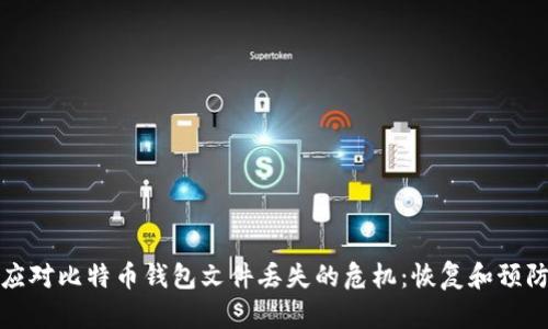 如何应对比特币钱包文件丢失的危机：恢复和预防攻略