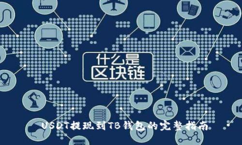  USDT提现到TB钱包的完整指南