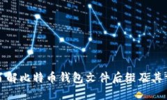 深入了解比特币钱包文件后缀及其重要
