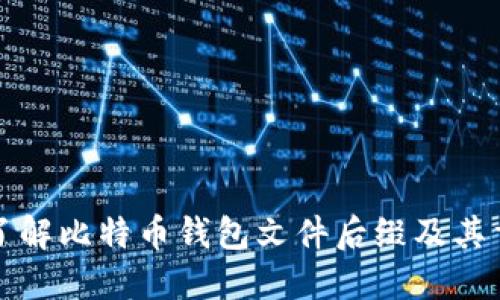 深入了解比特币钱包文件后缀及其重要性