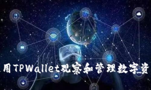 如何使用TPWallet观察和管理数字资产钱包