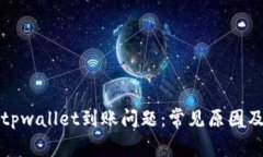 如何解决tpwallet到账问题：常见原因及